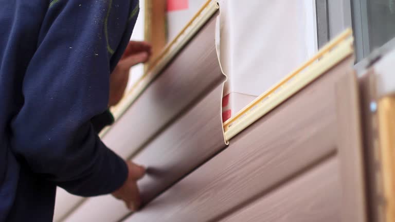 Best Stone Veneer Siding  in Bostonia, CA